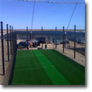 arena netting